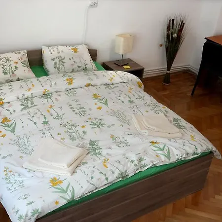 Cozy Central Brasov